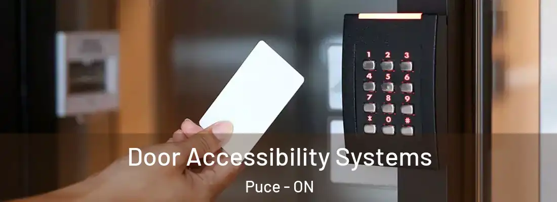  Door Accessibility Systems Puce - ON