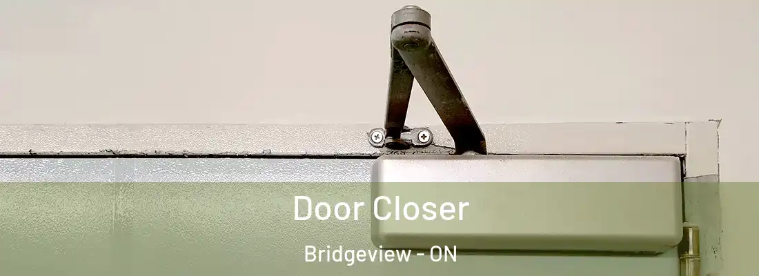  Door Closer Bridgeview - ON