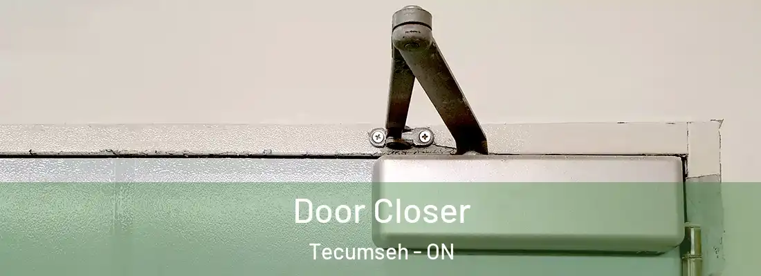  Door Closer Tecumseh - ON