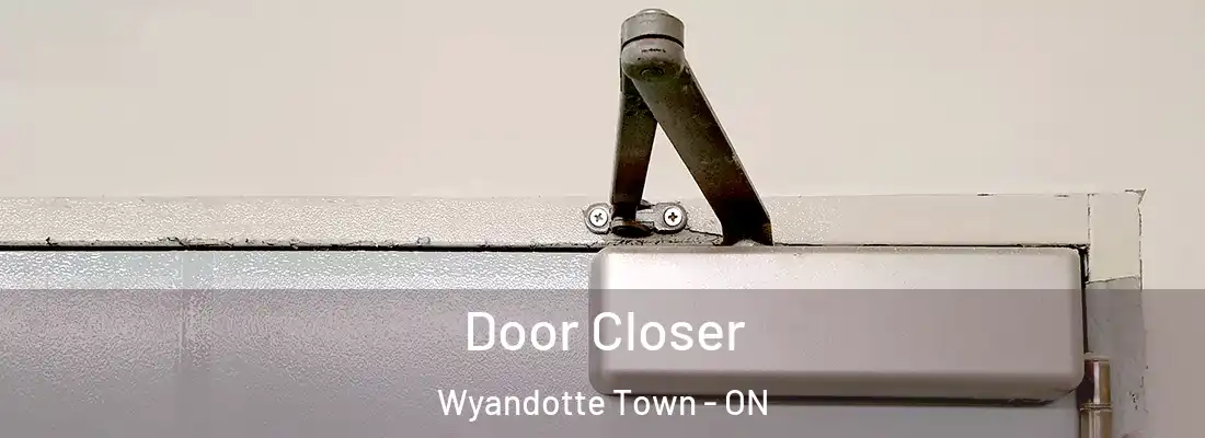  Door Closer Wyandotte Town - ON