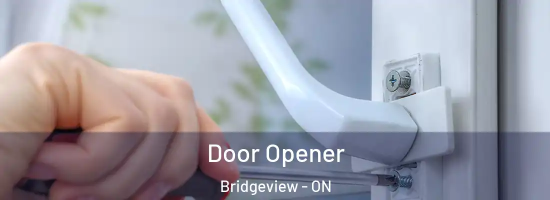  Door Opener Bridgeview - ON