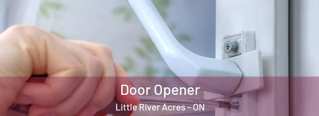  Door Opener Little River Acres - ON