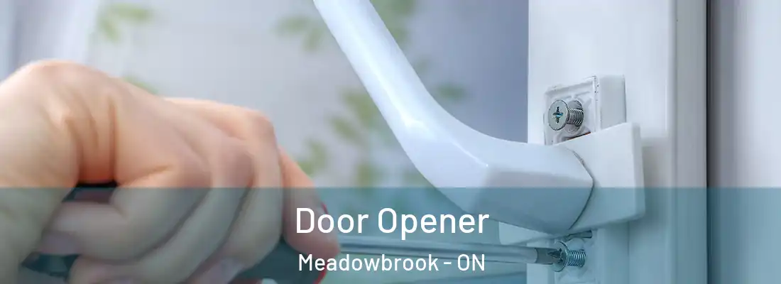  Door Opener Meadowbrook - ON