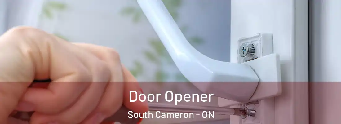  Door Opener South Cameron - ON