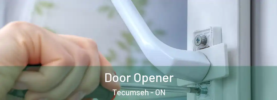 Door Opener Tecumseh - ON
