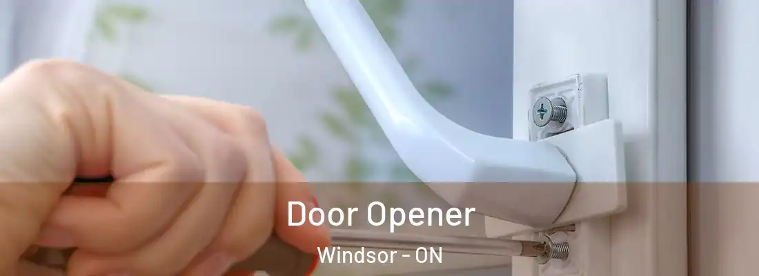  Door Opener Windsor - ON