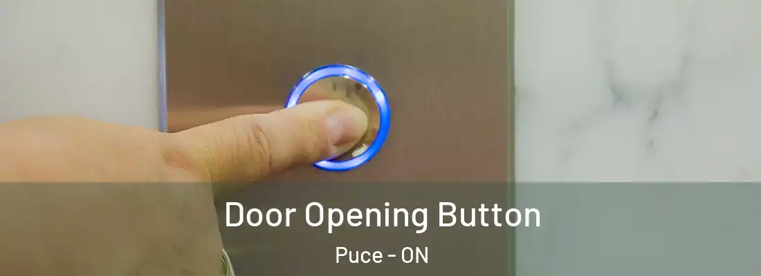  Door Opening Button Puce - ON