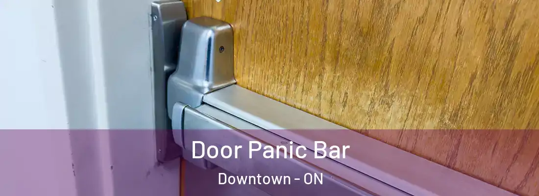  Door Panic Bar Downtown - ON
