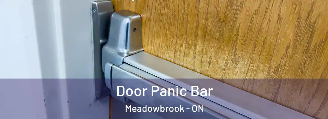  Door Panic Bar Meadowbrook - ON