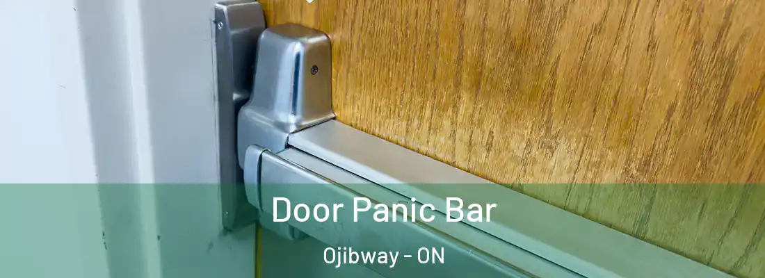  Door Panic Bar Ojibway - ON