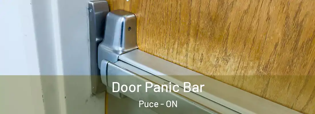  Door Panic Bar Puce - ON