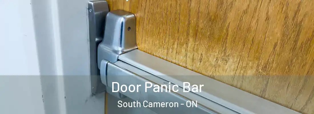  Door Panic Bar South Cameron - ON