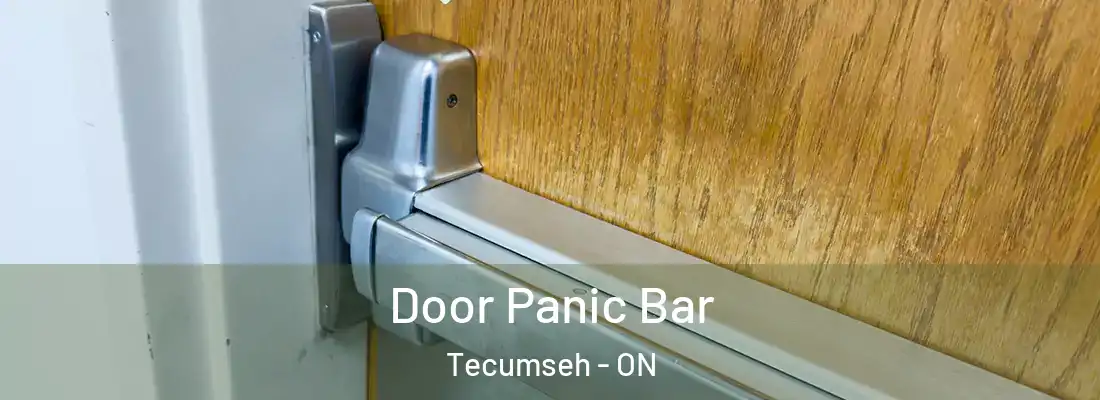  Door Panic Bar Tecumseh - ON