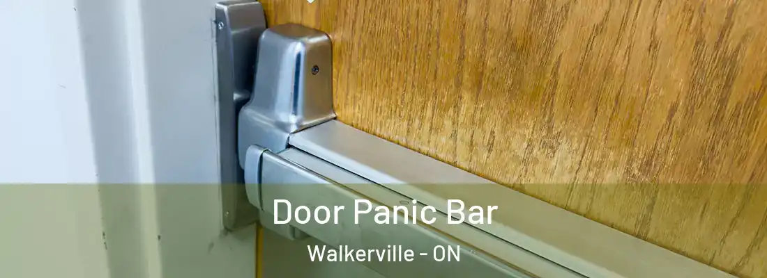 Door Panic Bar Walkerville - ON