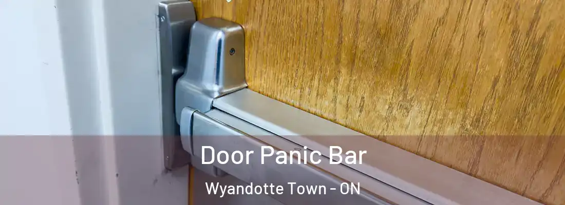  Door Panic Bar Wyandotte Town - ON