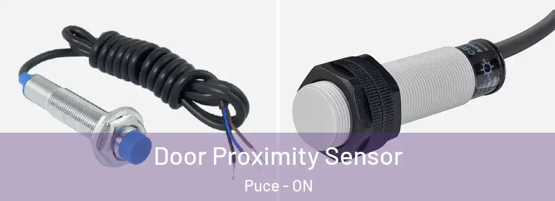  Door Proximity Sensor Puce - ON