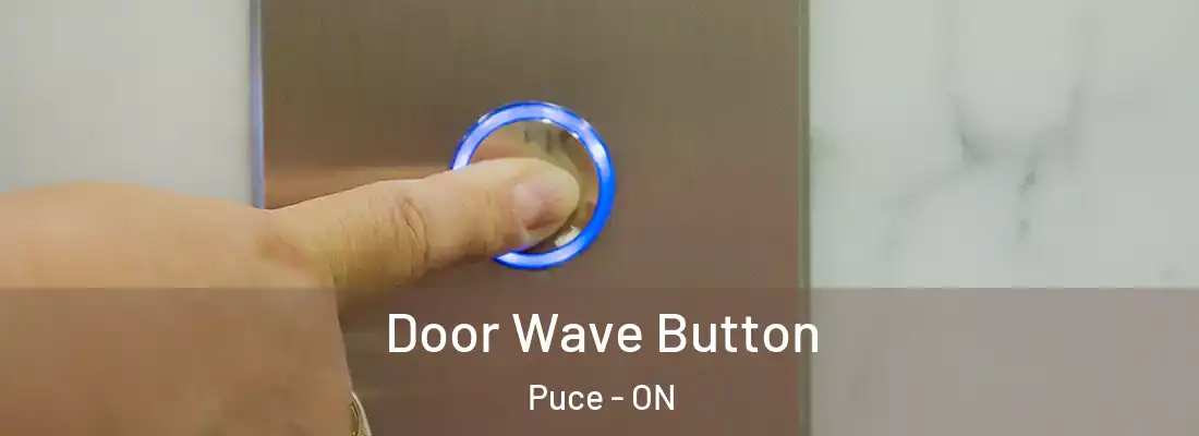  Door Wave Button Puce - ON