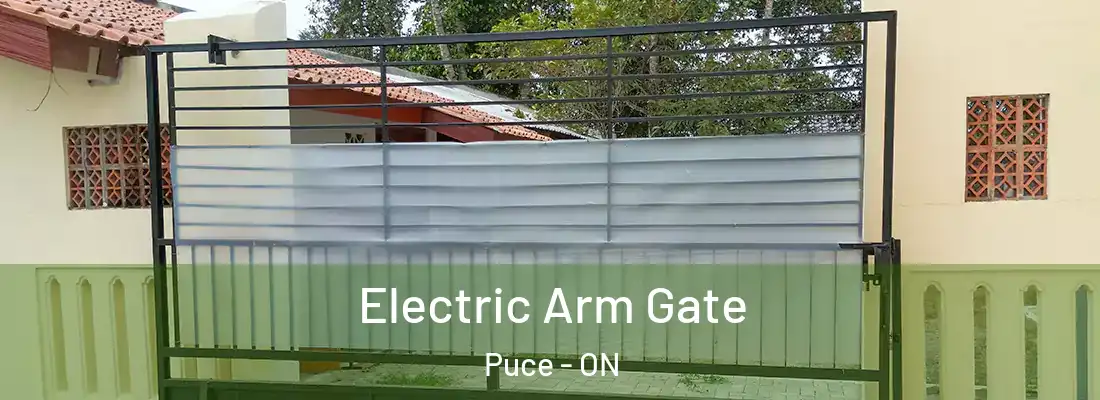  Electric Arm Gate Puce - ON