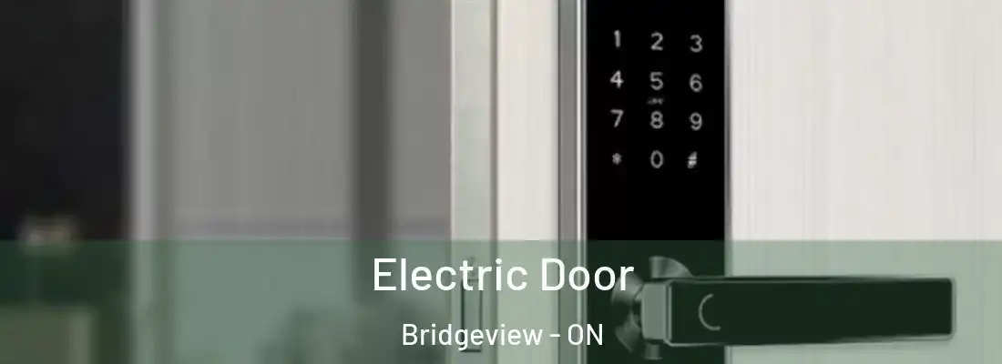  Electric Door Bridgeview - ON