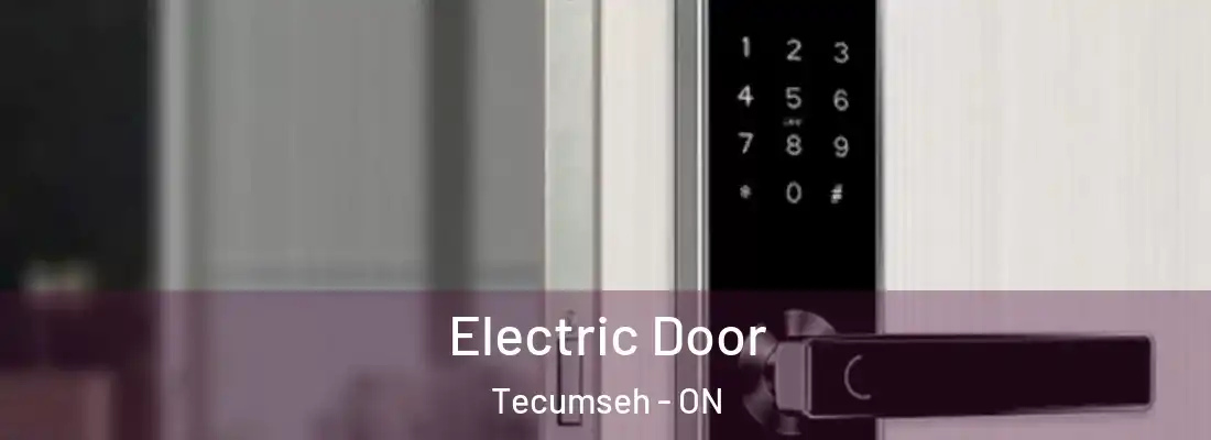  Electric Door Tecumseh - ON