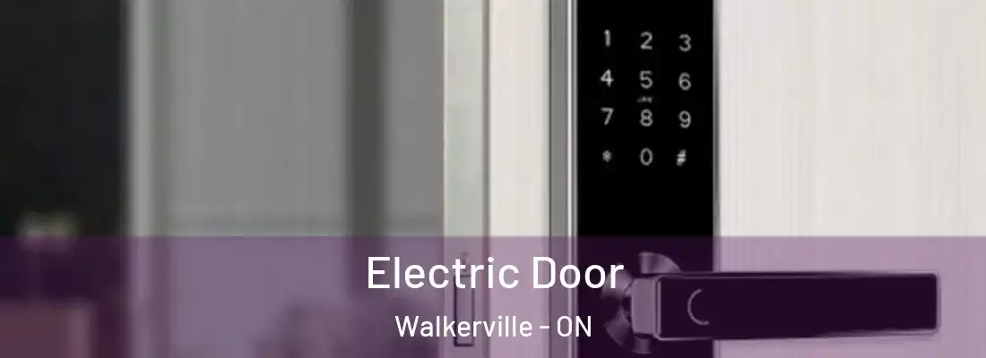  Electric Door Walkerville - ON