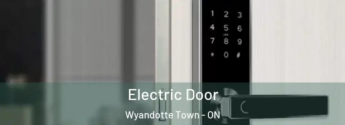  Electric Door Wyandotte Town - ON