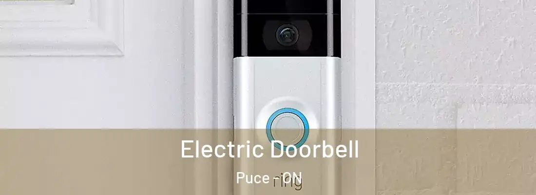  Electric Doorbell Puce - ON