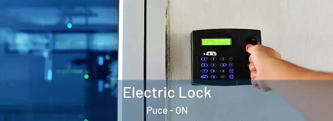  Electric Lock Puce - ON