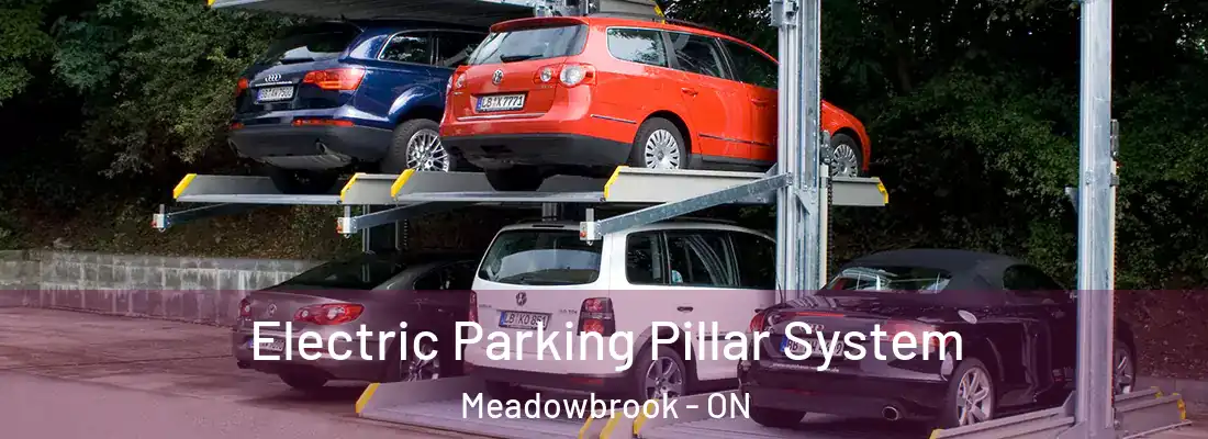  Electric Parking Pillar System Meadowbrook - ON