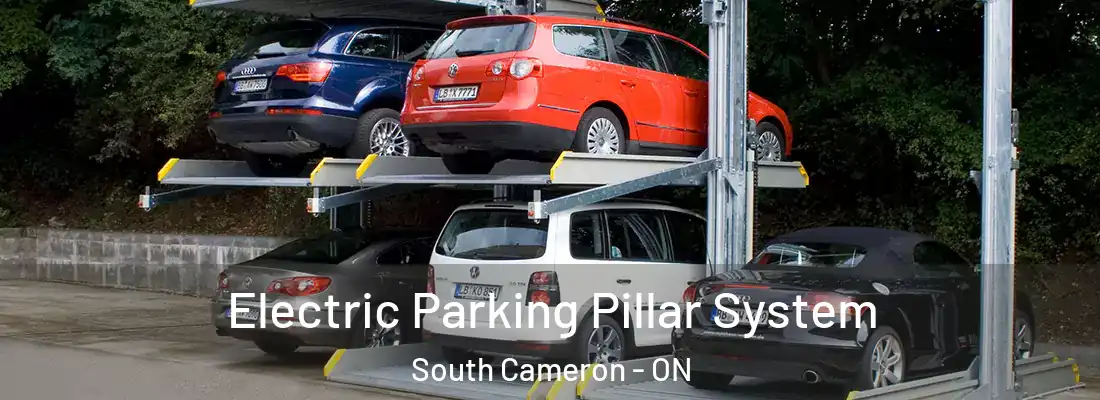  Electric Parking Pillar System South Cameron - ON