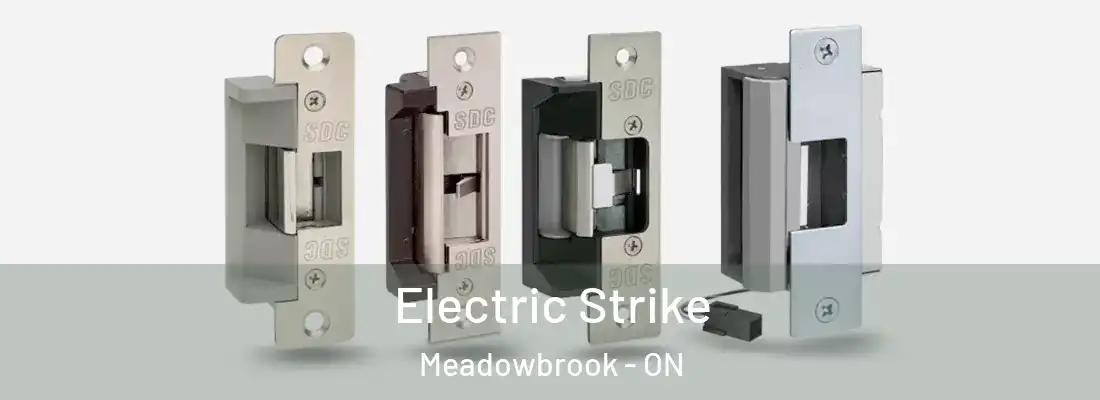  Electric Strike Meadowbrook - ON