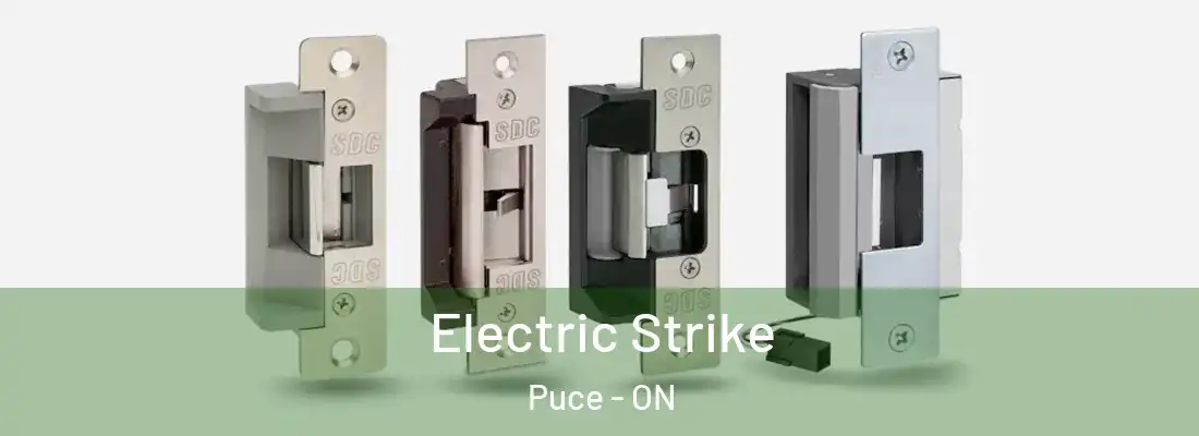  Electric Strike Puce - ON