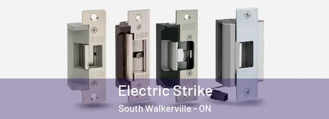  Electric Strike South Walkerville - ON