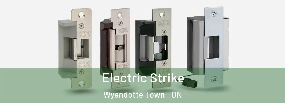  Electric Strike Wyandotte Town - ON