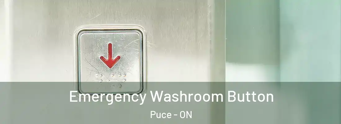  Emergency Washroom Button Puce - ON