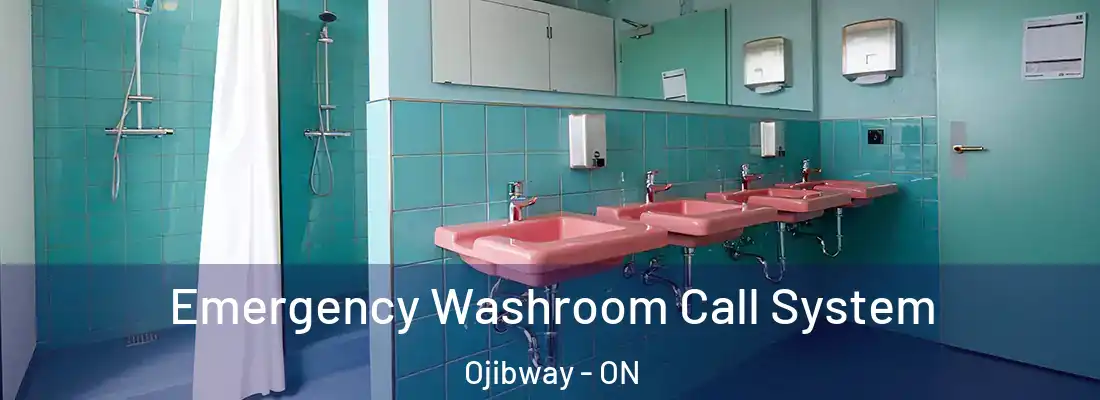  Emergency Washroom Call System Ojibway - ON