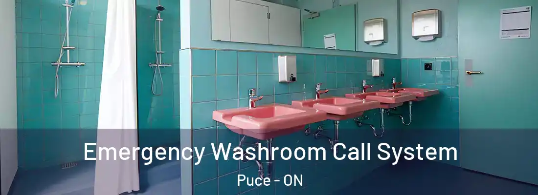  Emergency Washroom Call System Puce - ON