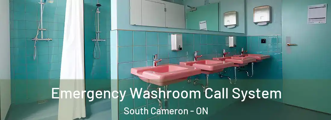  Emergency Washroom Call System South Cameron - ON