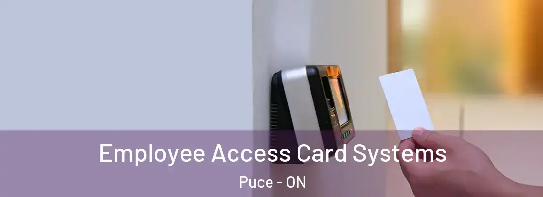  Employee Access Card Systems Puce - ON