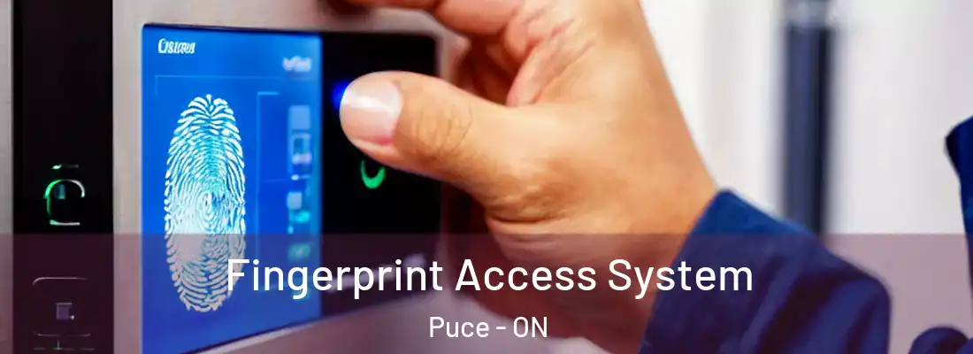  Fingerprint Access System Puce - ON
