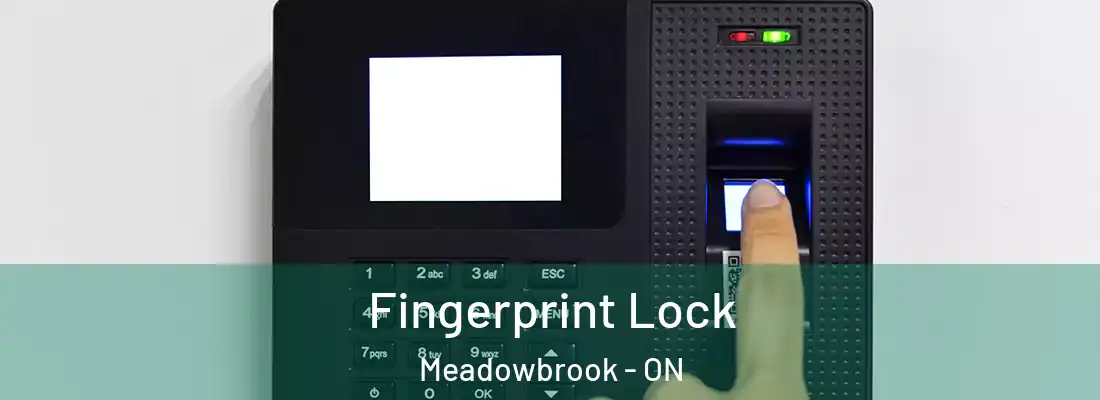  Fingerprint Lock Meadowbrook - ON