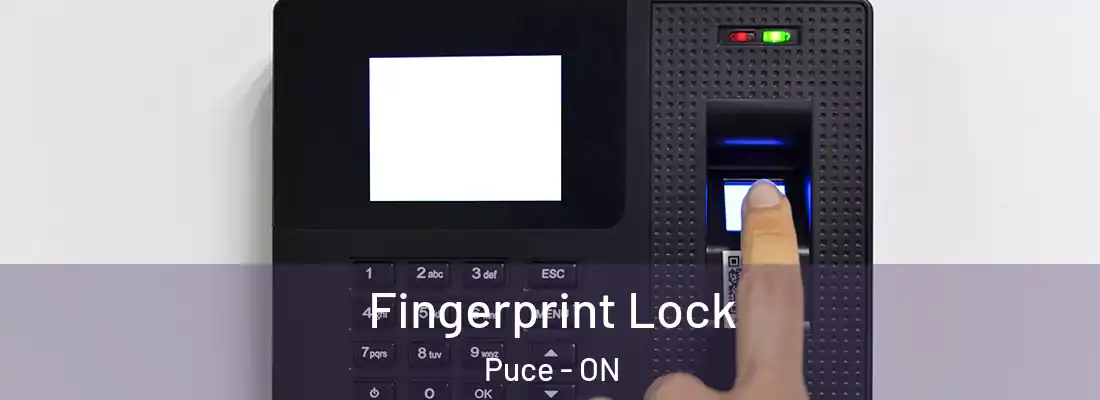  Fingerprint Lock Puce - ON