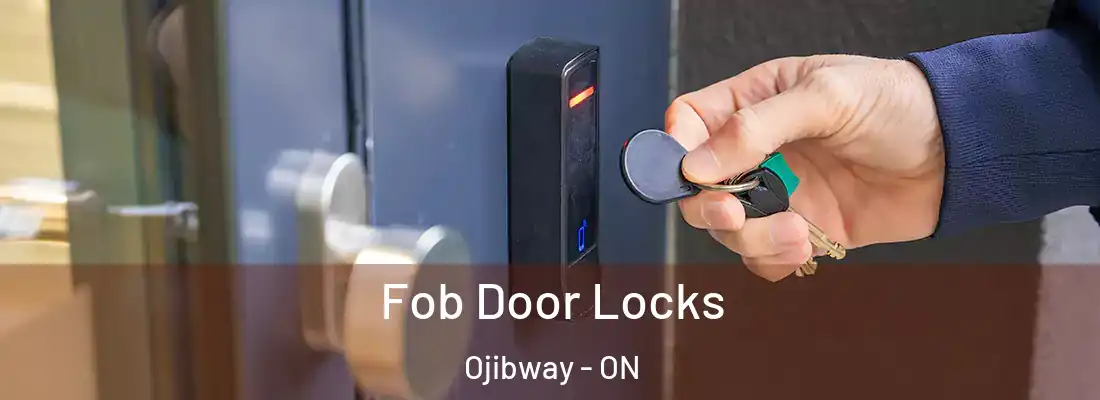  Fob Door Locks Ojibway - ON