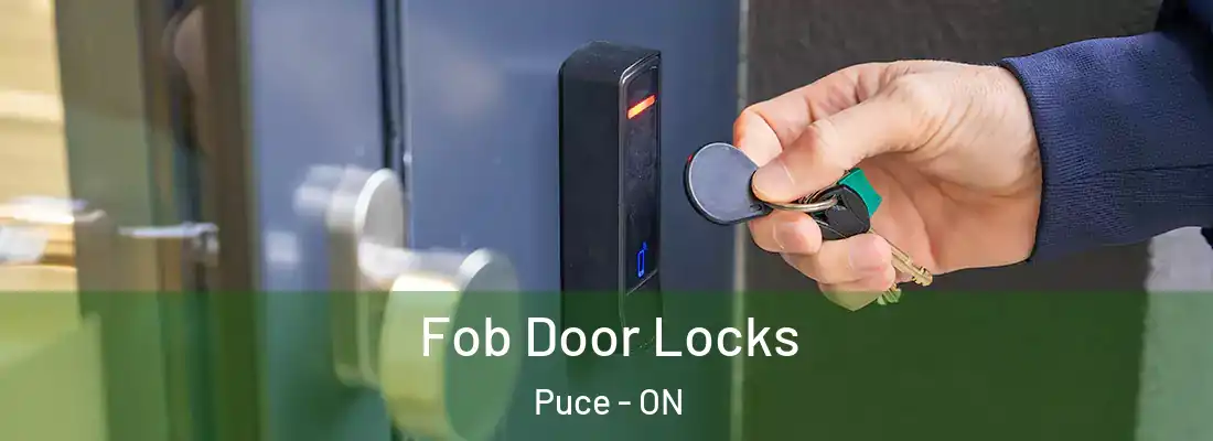  Fob Door Locks Puce - ON