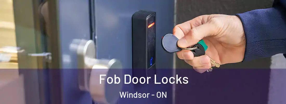  Fob Door Locks Windsor - ON