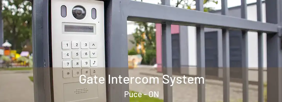  Gate Intercom System Puce - ON