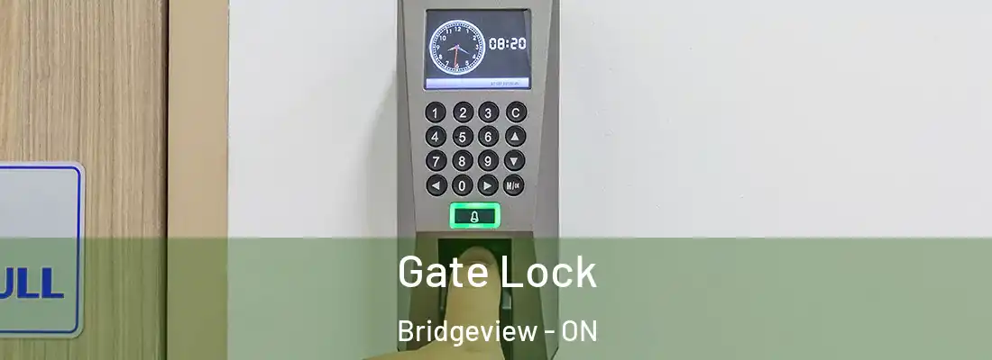  Gate Lock Bridgeview - ON
