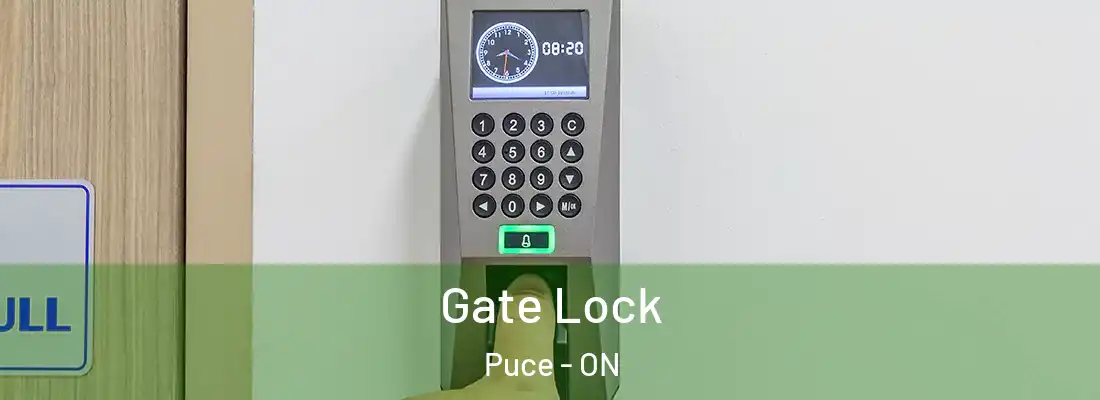  Gate Lock Puce - ON