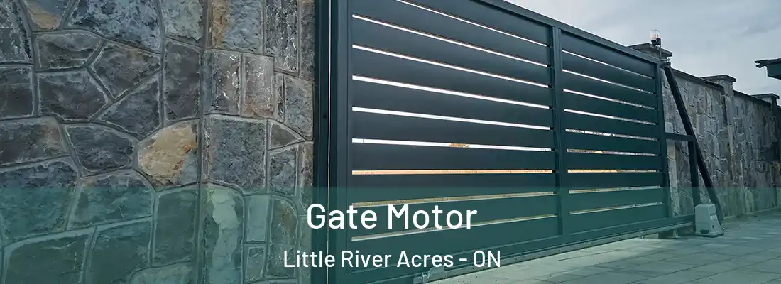 Gate Motor Little River Acres - ON