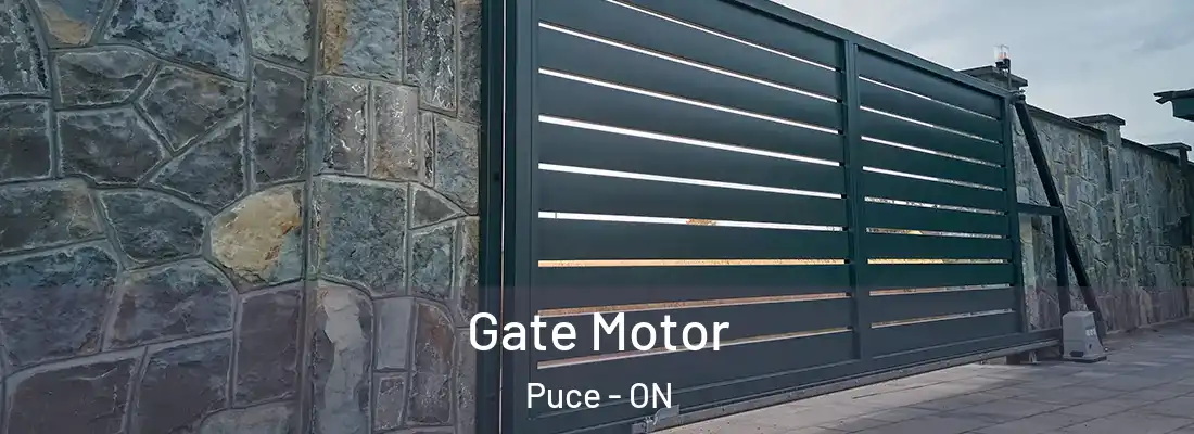  Gate Motor Puce - ON